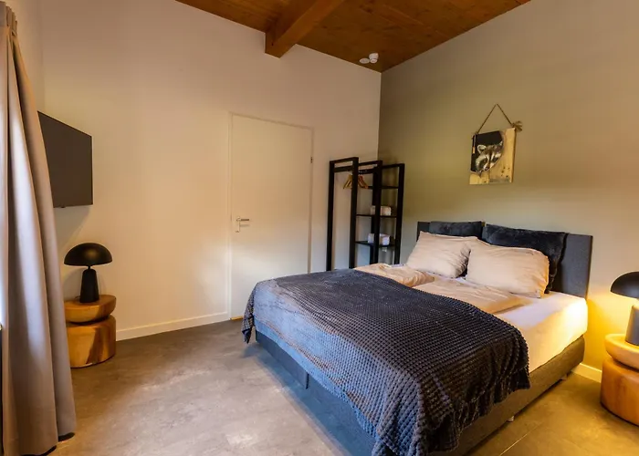 Valkse Hoeve Met Sauna & Hottub | 6 Personen * Otterlo